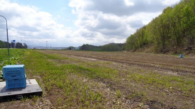 農産物情報　２０２４年５月１０日